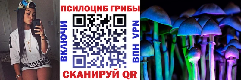 KRAKEN зеркало  Кузнецк  Псилоцибиновые грибы Magic Shrooms 